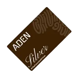 Silver Lifetime Subscription